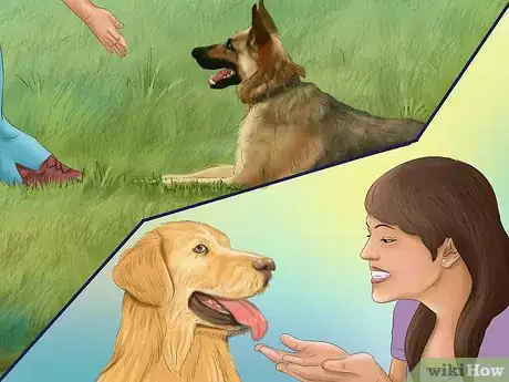Image titled Teach Your Dog "On By" Step 2